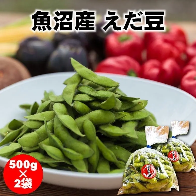 【絶賛収穫中】新潟/魚沼産えだ豆/500g×2パック/産地直送/越季(こしき)