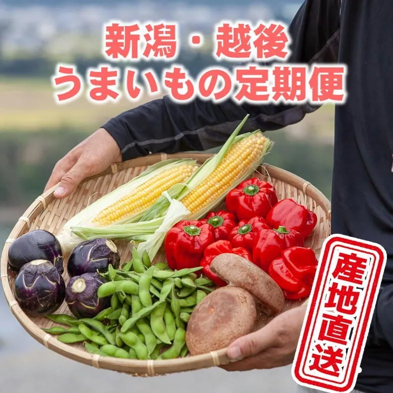 【毎月産地直送・送料無料・定期便】新潟・魚沼うまいもの定期便58品/お取り寄せ/越季(こしき)