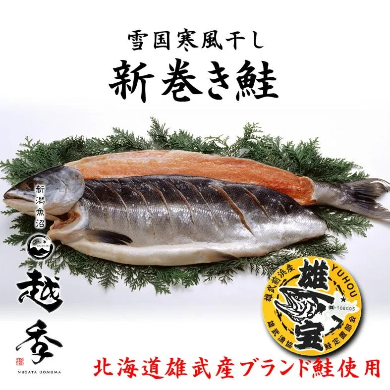 【数量限定】北海道雄武産新巻き鮭/魚沼寒風干し/Mサイズ2.78kg/数量限定/新潟魚沼/越季（こしき）［冷凍品]