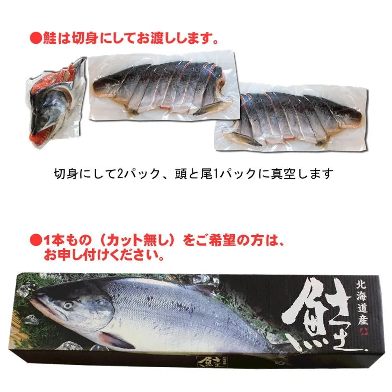 【数量限定】北海道雄武産新巻き鮭/魚沼寒風干し/Mサイズ2.78kg/数量限定/新潟魚沼/越季（こしき）［冷凍品]