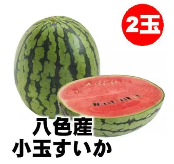 【予約受付中】八色産小玉すいか2個|新潟県魚沼八色地方限定/越季（こしき）