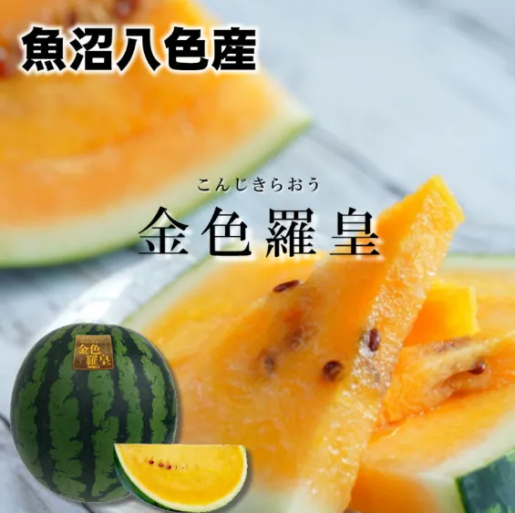 【お中元】魚沼八色産黄肉すいか/金色羅皇/新潟越季/FA432