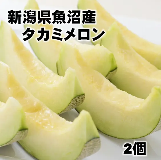 【予約受付中】魚沼産メロン/タカミ/ゆうか/オルフェ/新潟県魚沼地方限定/越季(こしき)